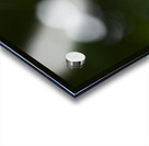 Catchfly Impression Acrylique