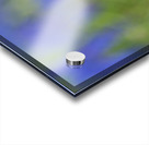 Me Myself I Acrylic print