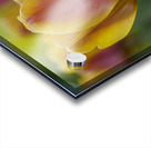 Siblings Acrylic print