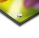 Freshness Overload Impression Acrylique