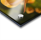 Wonderful Day Impression Acrylique