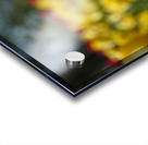 Amongst Others Acrylic print