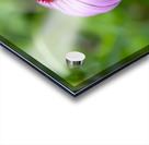 Ruby Star Impression Acrylique