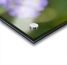 Drumsticks Acrylic print