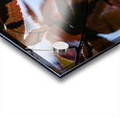 Striking Leaves Acrylic print