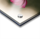 Dreamy State Acrylic print