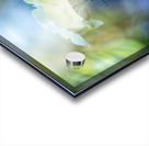 Dreamy State 2 Acrylic print