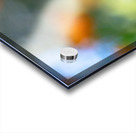 Foreground Acrylic print