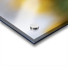 Yellow Radiance Impression Acrylique