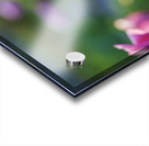 Peace Lady Impression Acrylique