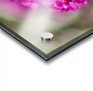 Orange Eye Impression Acrylique