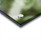 Blue Rosary Acrylic print