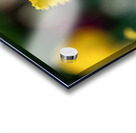 Call Me Fabiola Impression Acrylique