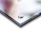 Delicacy Impression Acrylique