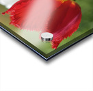 I Choose Red Acrylic print