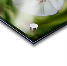 Little Glass Impression Acrylique