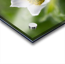 Darling 2 Impression Acrylique