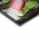 Under the Trees Acrylic print