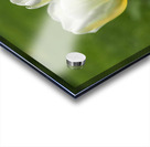 Yellow and White Impression Acrylique