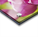 Follow the Leader Impression Acrylique