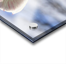 Head in the Clouds Impression Acrylique