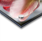 Cheerful Lady Acrylic print