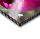 Pretty Pink Impression Acrylique