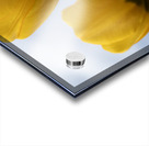 Dearest Friends Acrylic print