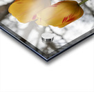 Beautiful Nature Acrylic print