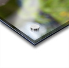 Her Majesty Acrylic print