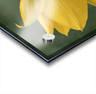 That Way Acrylic print