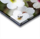 Colorful Dots Impression Acrylique