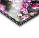 Cuties Acrylic print