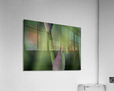 Spider with Rainbow Drop Acrylic Print