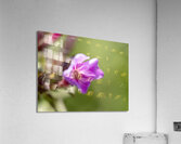 Good Day Impression acrylique