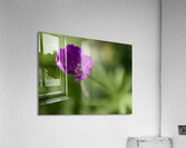 Little Beads Acrylic Print