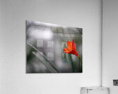 Naked Lady Acrylic Print