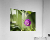 Lonely Acrylic Print