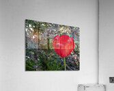 Red as Blood Acrylic Print