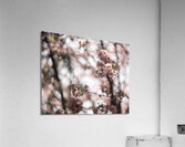 Sunny Serenity Impression acrylique