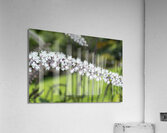 Fairy Candle Acrylic Print