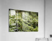 Spring Bokeh Acrylic Print