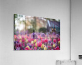  SBP5487 Impression acrylique