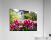  SBP7968 Impression acrylique