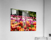 SBP6328 Impression acrylique