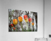 SBP8316 Impression acrylique