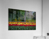 SBP5724 Acrylic Print