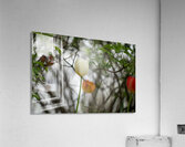 SBP8285 Acrylic Print