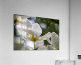 SBP5705 Impression acrylique