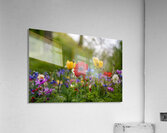 SBP5871 Acrylic Print